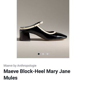 Anthropologie Black and Cream Block-Heel Mules